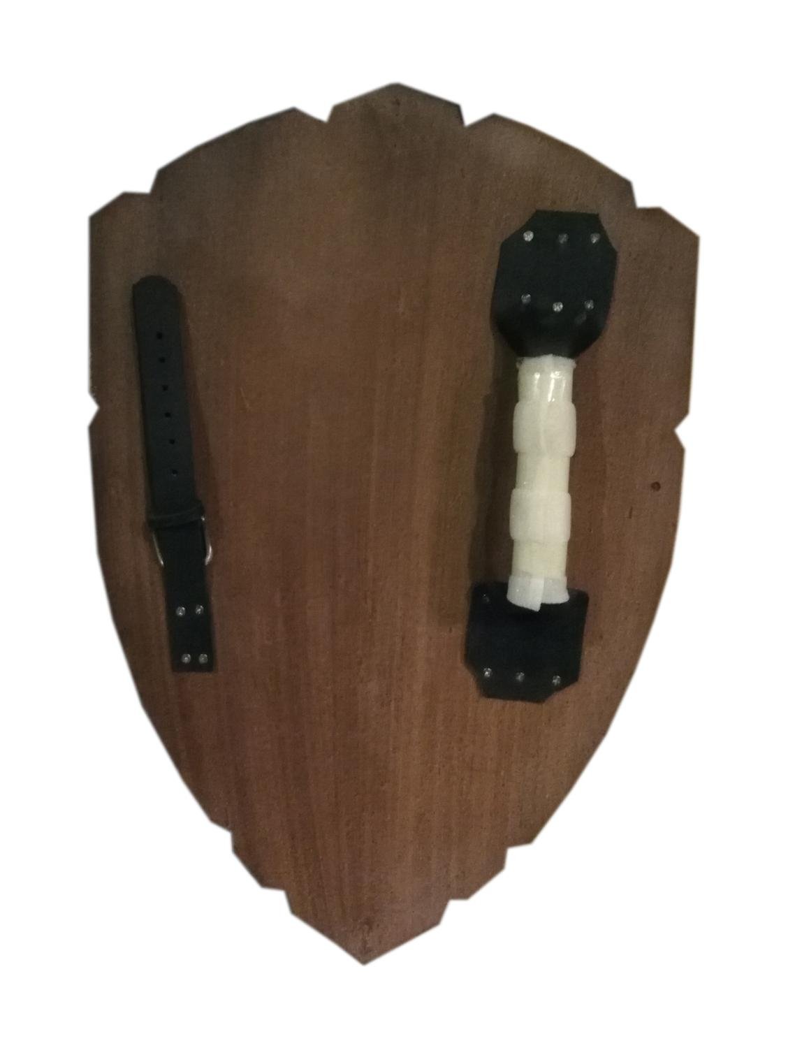 Trä Legend of Zelda Curved Shield SWE101