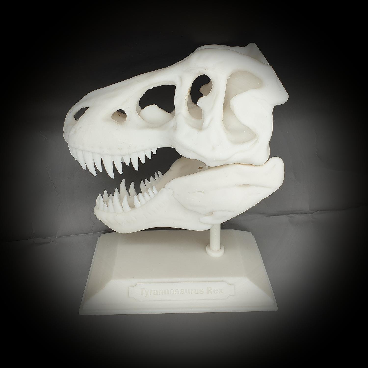 Tyrannosaurus Rex halloween skalle dekoration T-rex med stativ