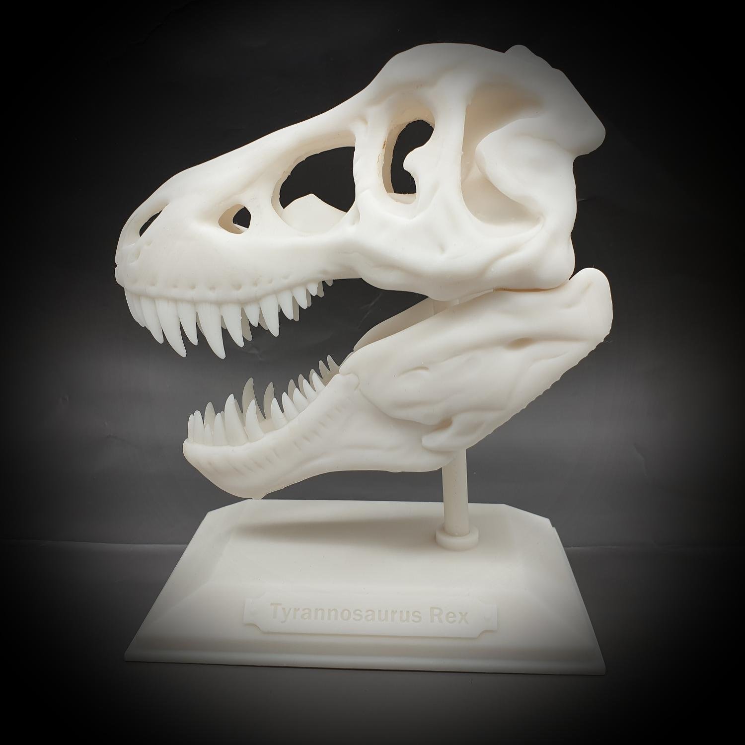 Tyrannosaurus Rex halloween skalle dekoration T-rex med stativ