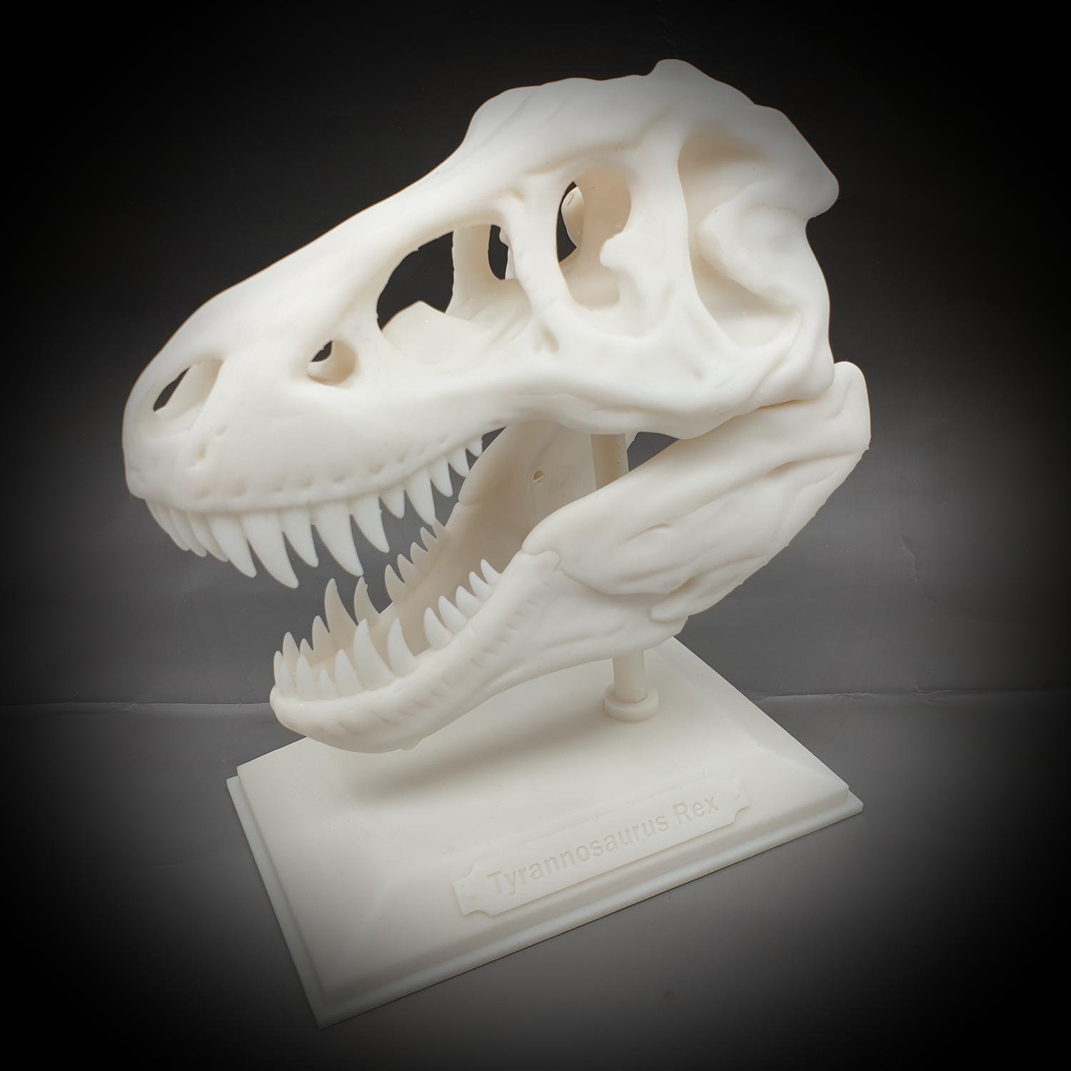 Tyrannosaurus Rex halloween skalle dekoration T-rex med stativ