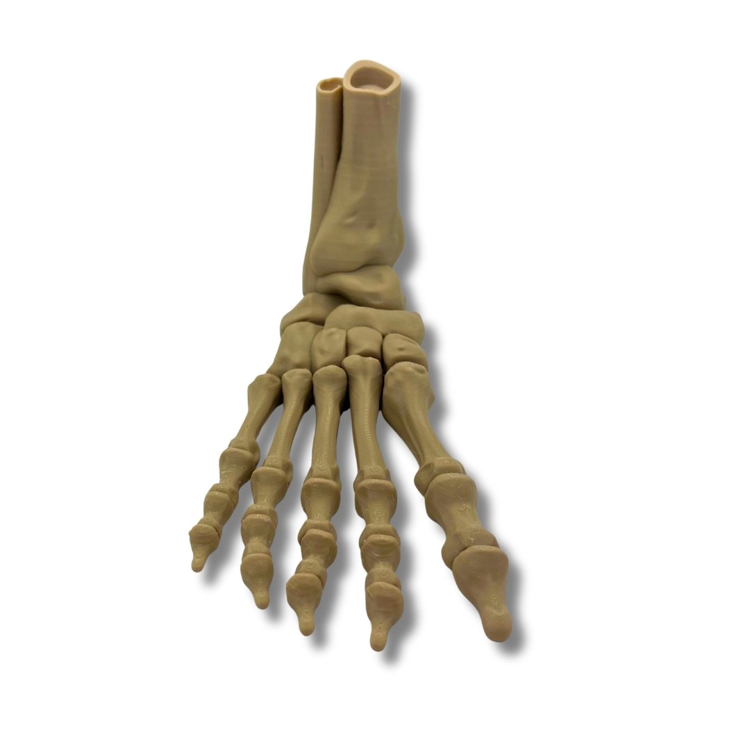 Skelettfot halloween dekorationsleksak 25 cm