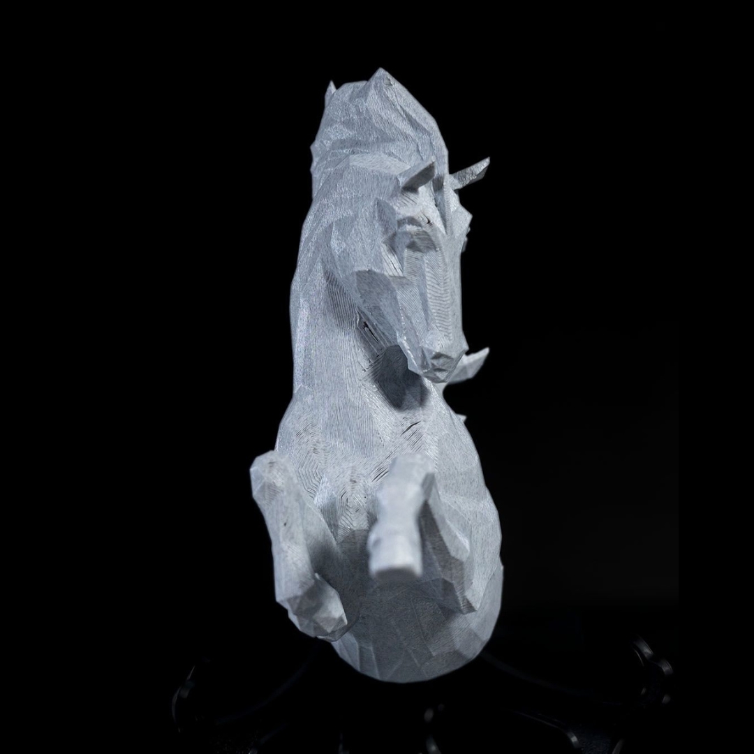 Pegasus lampa väggfäste LED-lampa med adapter
