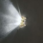 Fairy Wings lampa väggfäste LED-lampa med adapter