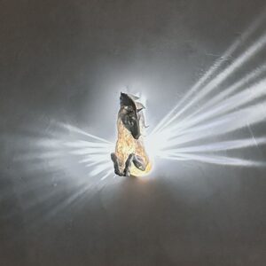Pegasus lampa väggfäste LED-lampa med adapter