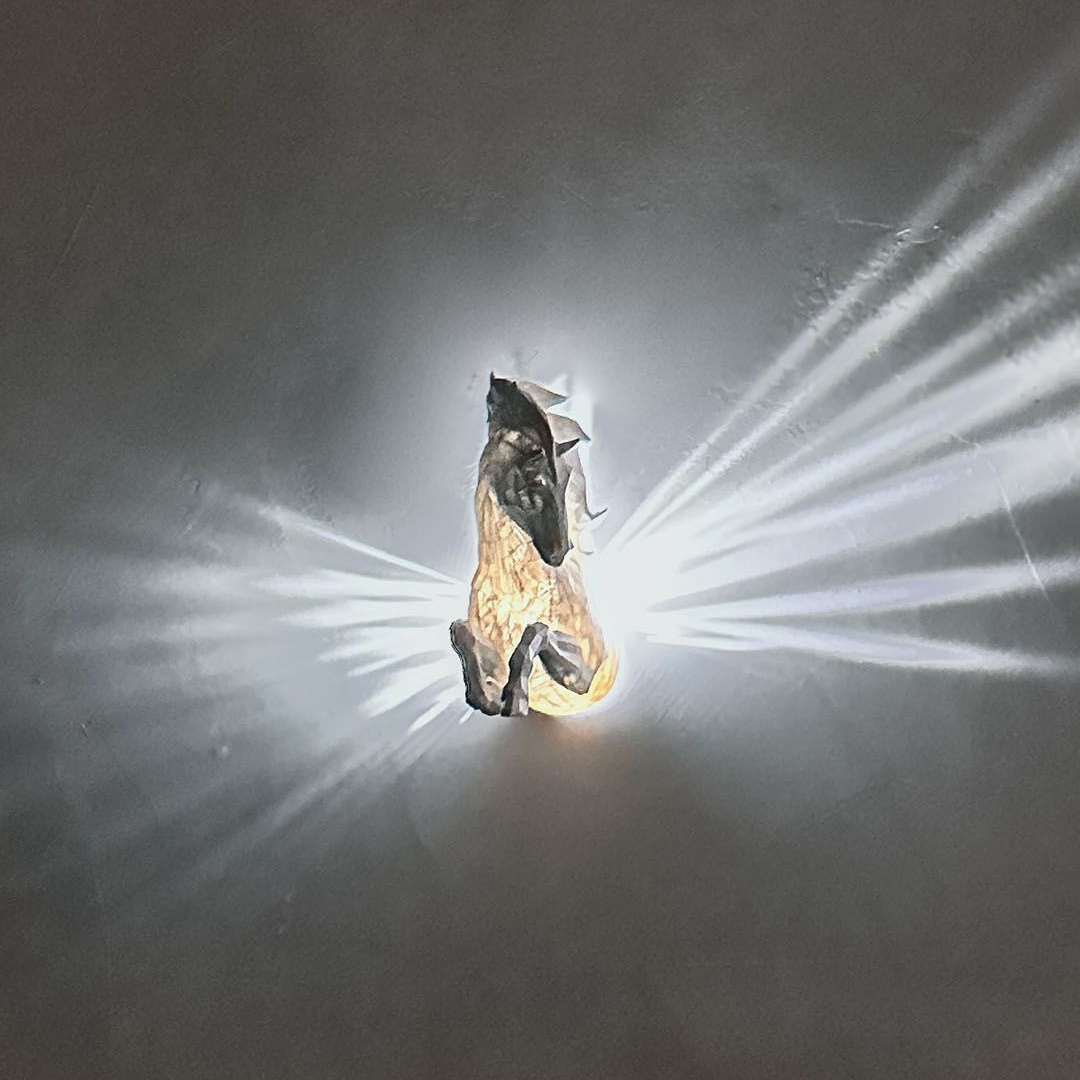 Pegasus lampa väggfäste LED-lampa med adapter