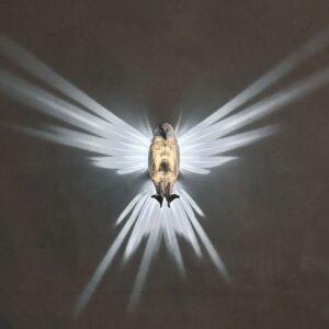 Eagle wings lampa väggfäste LED-lampa med adapter