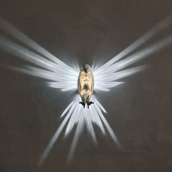 Eagle wings lampa väggfäste LED-lampa med adapter