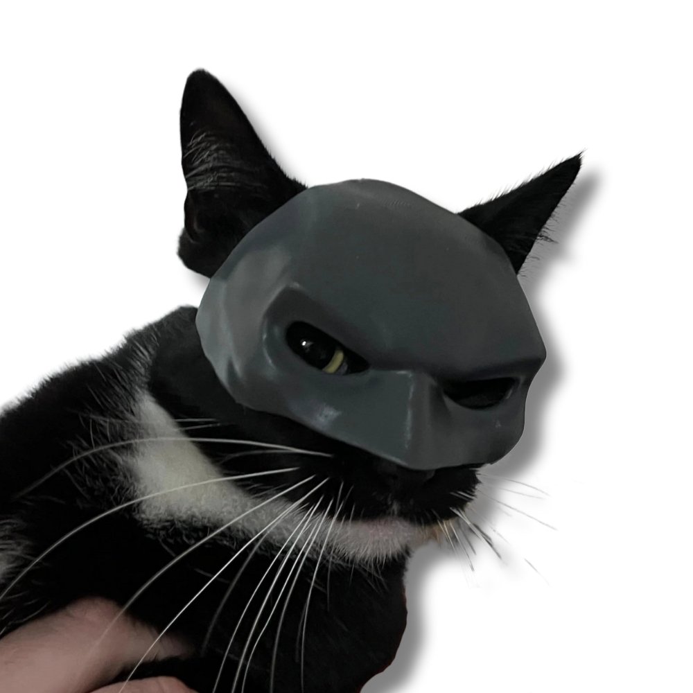 BatCat Batman kattmask PawSmart Dark Knight