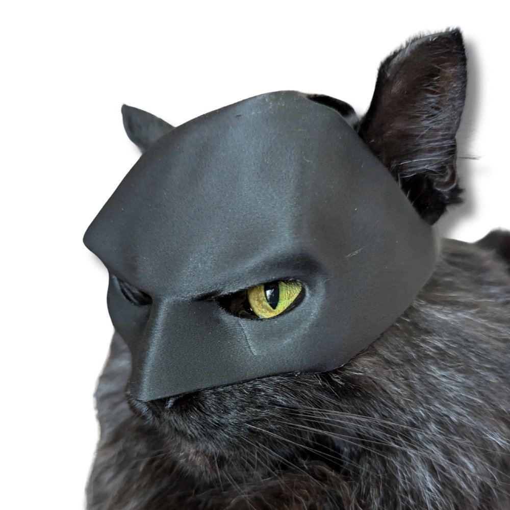 BatCat Batman kattmask PawSmart Dark Knight