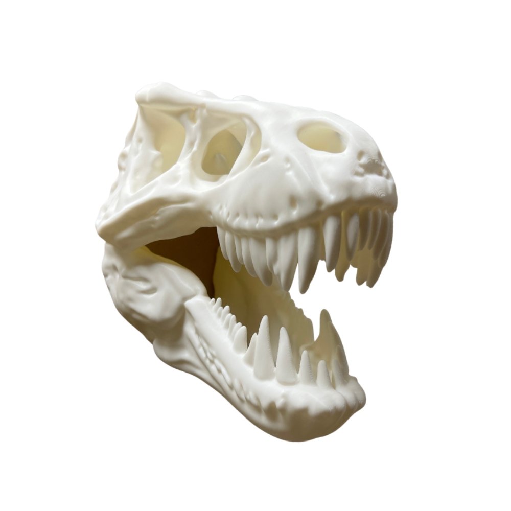 T-rex dinosaurieskalle väggdekoration