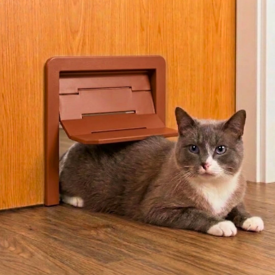 ModaCat Ledad inomhuskattlucka | Husdjurslucka 14x14 cm